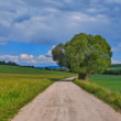 Letná cesta