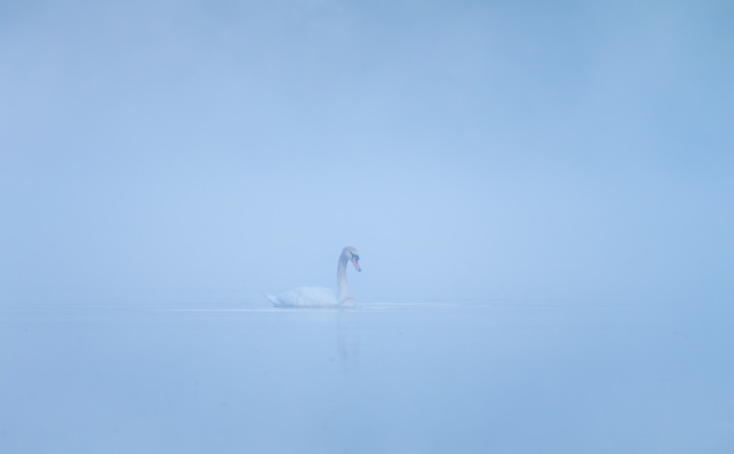 Príbeh jedného rána