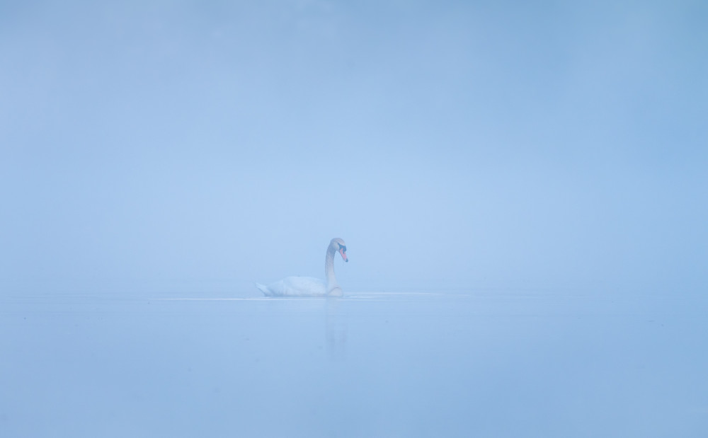 Príbeh jedného rána