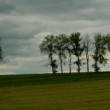 pri ceste