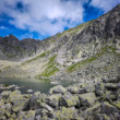 Capie pleso