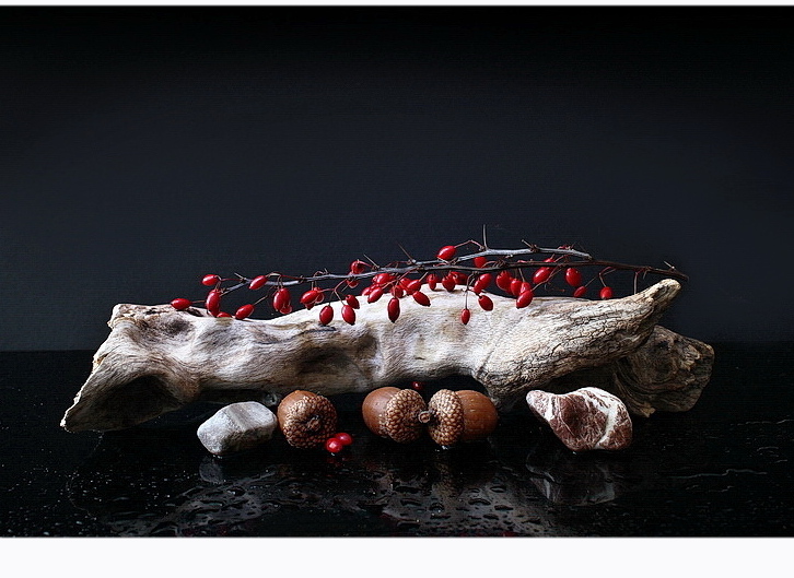 zátišie s červenými plodmi