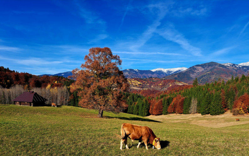 Idylka na konci oktobra