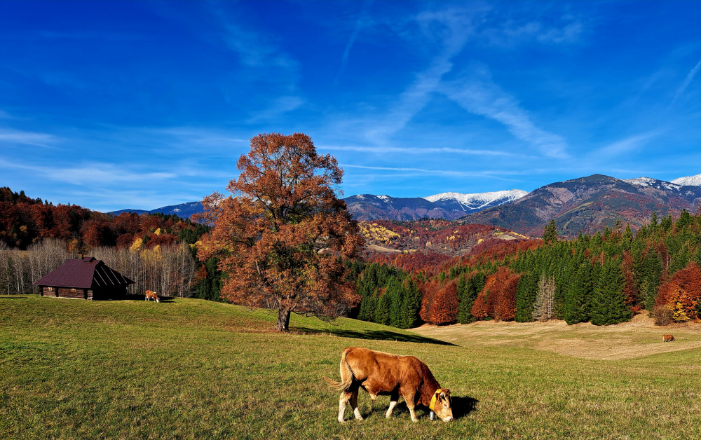 Idylka na konci oktobra