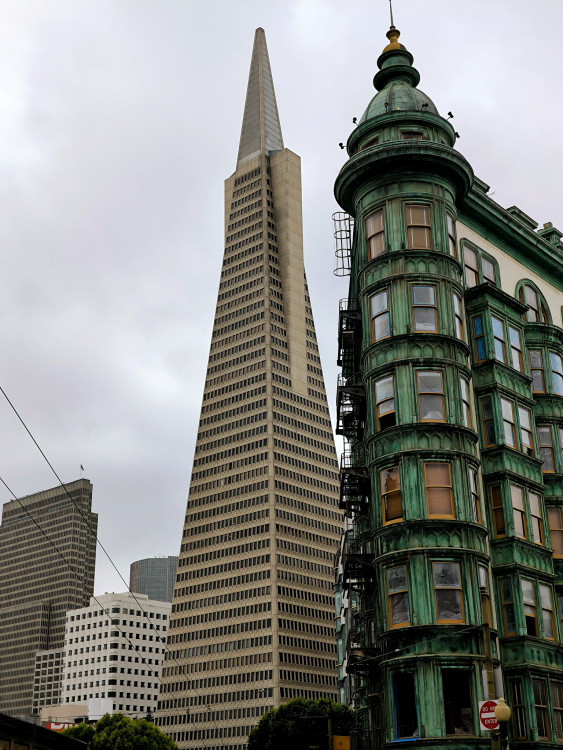 Towering skyscrapers_13.0