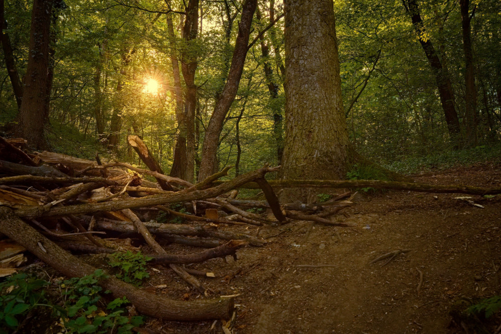 Podvečerná prechádzka