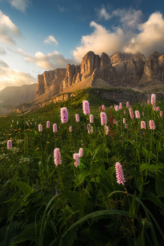Rozkvitnuté Dolomity