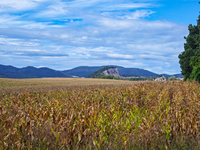 Holý vrch