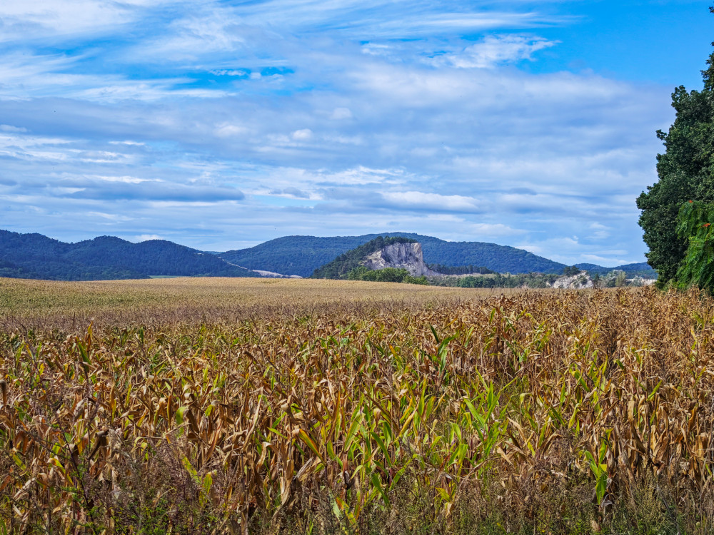Holý vrch