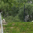 Čakanie