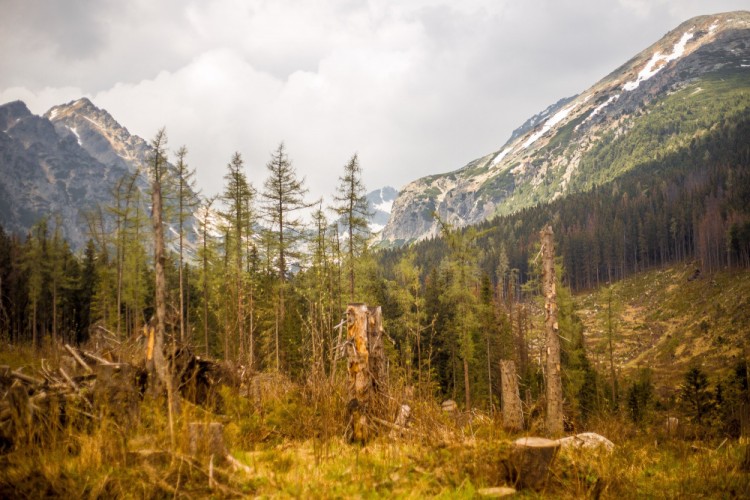 Vysoké Tatry.