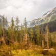 Vysoké Tatry.