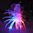 TATRY ICE MASTER