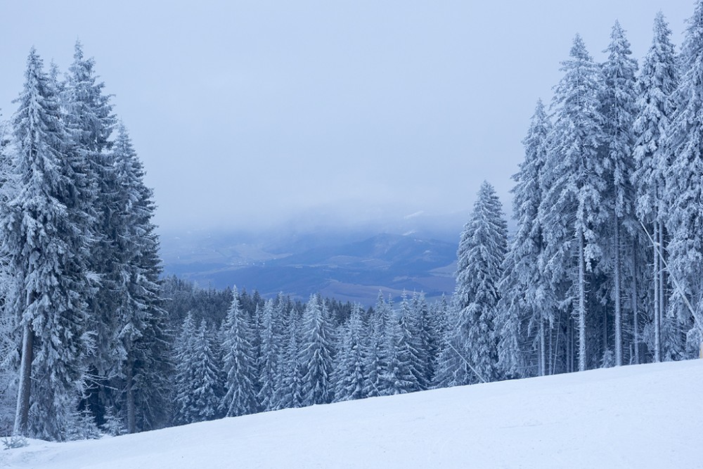 Martinské hole