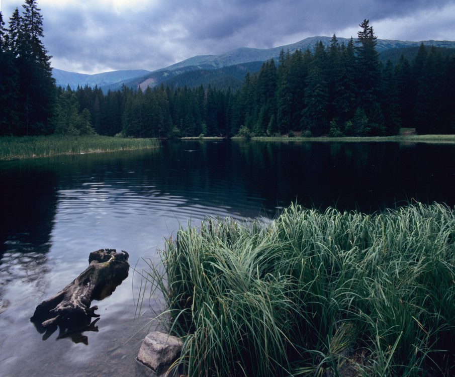 Vrbické pleso