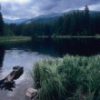 Vrbické pleso