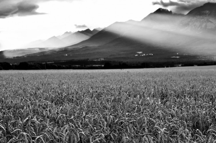 Tatry po búrke.