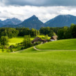 Alpské lúky