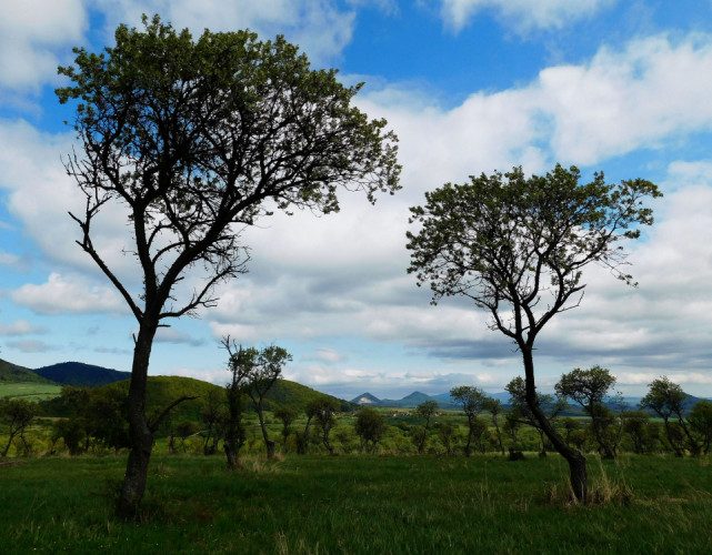 slovenská savana