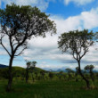 slovenská savana