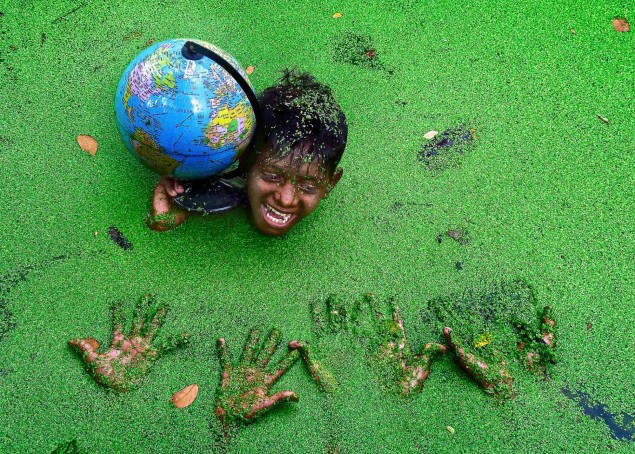 Go for Green, foto: Debasish Chakraborty, Nikon D7200