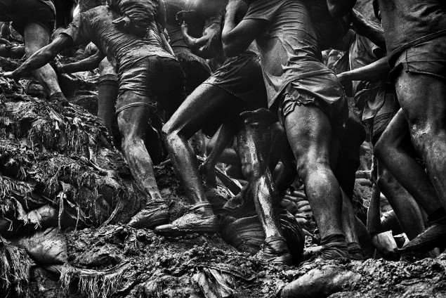 Sebastião Salgado Gold.