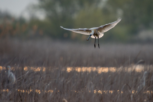 Foto: © Tomáš Hulík
