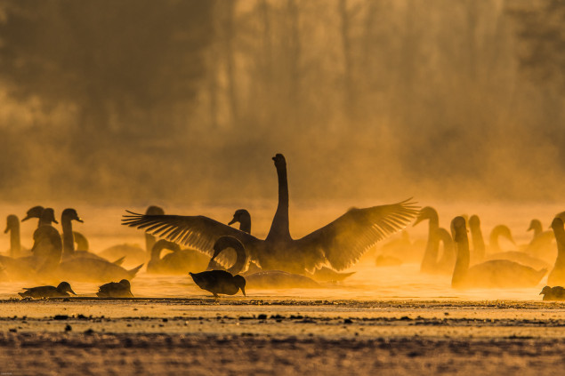 Foto: © Tomáš Hulík