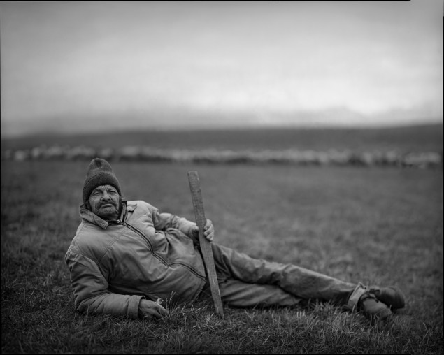 © Alan Hyža. Dedinský pastier, Žakovce, 2018 / Galéria Martina Martinčeka, Stredoeurópsky dom fotografie