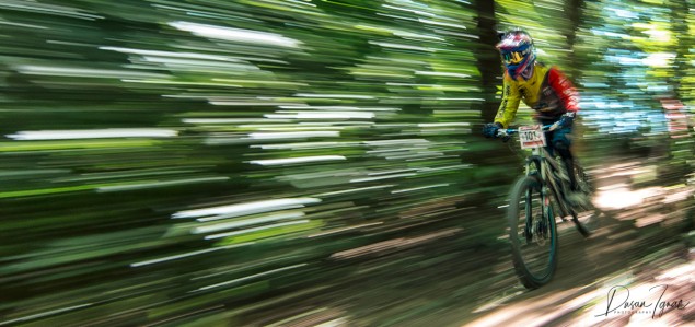 Horské bicykle. Svetlo cez lístie v lesíku zvyšuje dynamiku záber z mestského zjazdu na horských bicykloch. Foto: Dušan Ignác