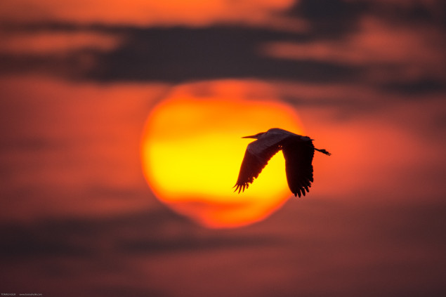 Foto: © Tomáš Hulík