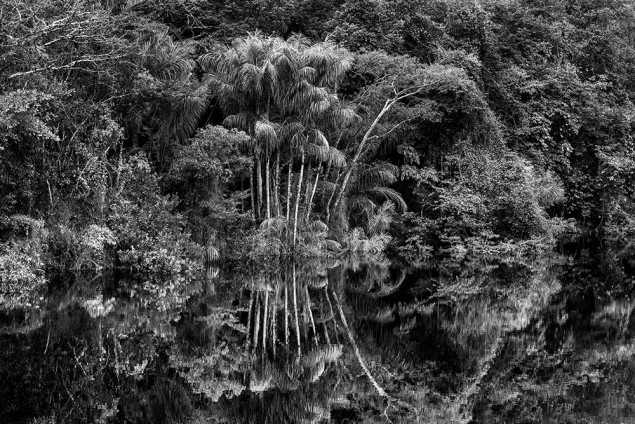 © Sebastião Salgado, Rio Jaú, État d’Amazonas, Brésil, 2019