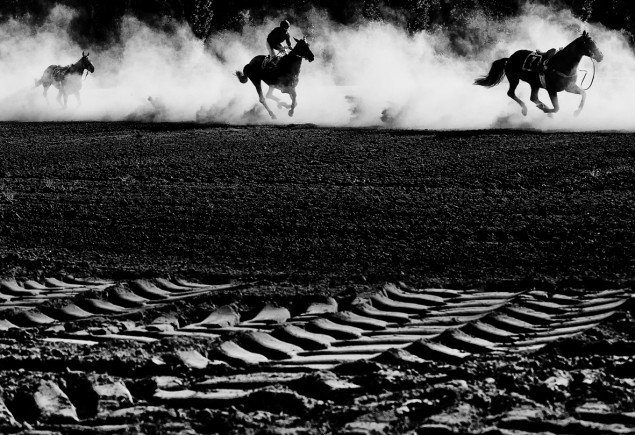 Roman Vondrouš, zo série Steeplechase 1. cena World Press Photo 2013