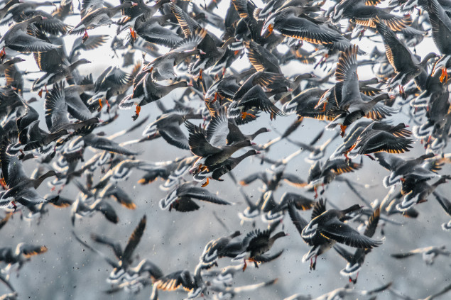 Foto: © Tomáš Hulík