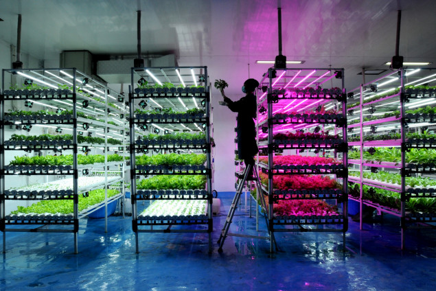 Vertical Farming, Arie Basuki, 2022