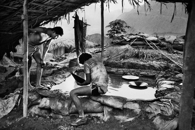 Sebastião Salgado Gold.