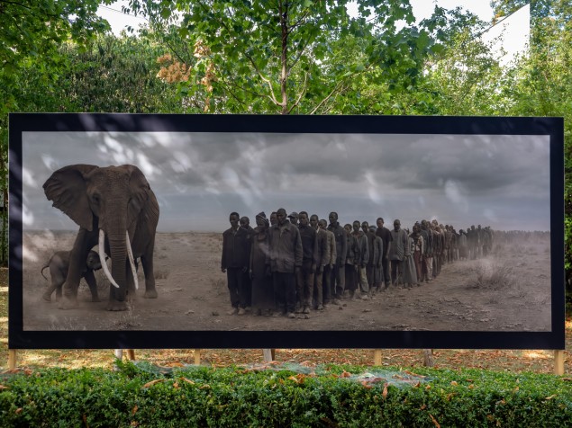 Všetci ľudia na fotografiách Nicka Brandta sú zo Zimbabwe a Kene. Všetci boli ťažko postihnutí klimatickými zmenami.