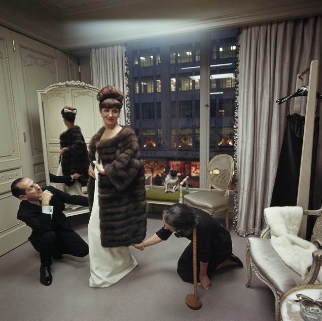 A woman shops for a fur coat at Bergdorf Goodman in New York City. Her Chinese pug, Miss Puffet, sits on a nearby chaise. December 1964. This is a previously unpublished image. PHOTOGRAPH BY ALBERT MOLDVAY, NATIONAL GEOGRAPHIC