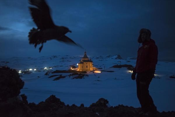 An Antartic Advantage - Daniel Berehulak, Austrália - 1. miesto (stories) 