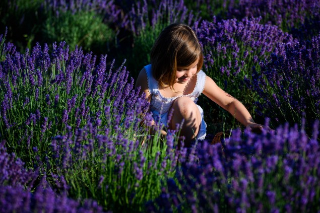 Fotografia z Nikonu Z 7 + AF-S 70-200 mm f/2,8 VR II vhodná pre extrémne zväčšenie