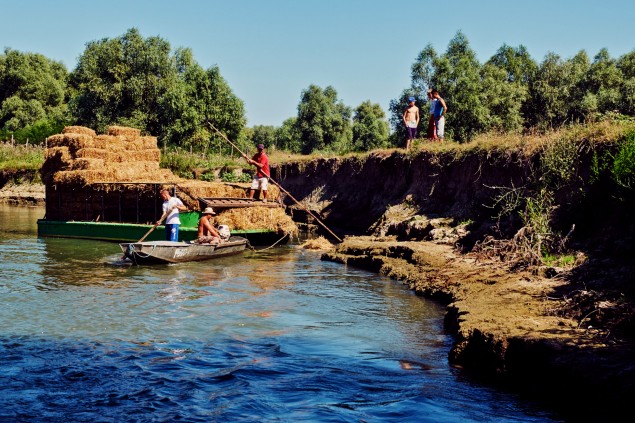 Rumuni zvážajú seno na lodiach po ramene.    © julo kotus