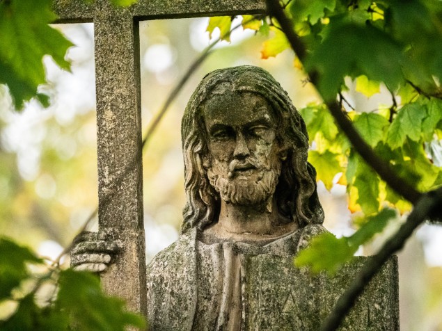 Ani pri dráždivo vysokom ISO nie sú fotografie na zahodenie.