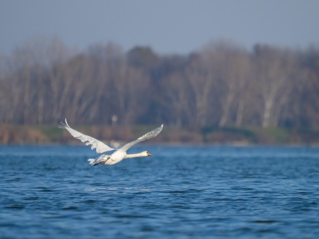  Foto: Peter Ľahký