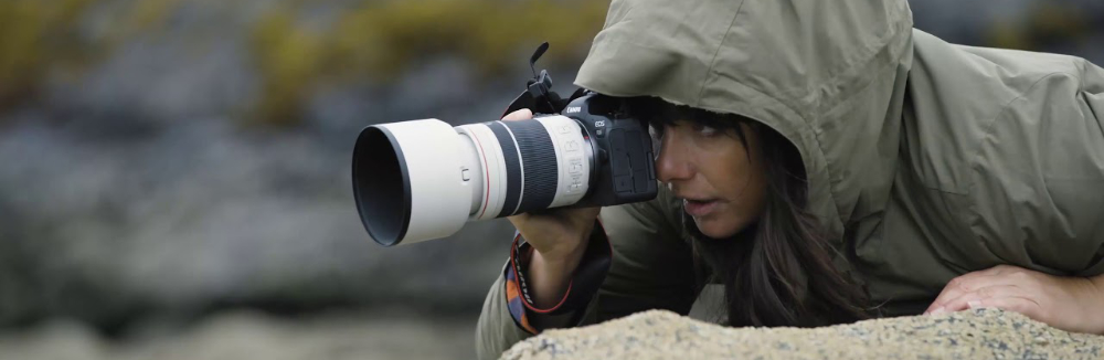 Canon RF 70-200mm f/4 L IS USM