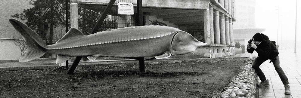 Traja mimozemšťania