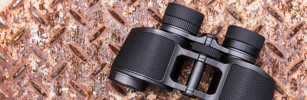 Skvost porroprizmatických ďalekohľadov Nikon 8×30 E II 100th Anniversary Edition
