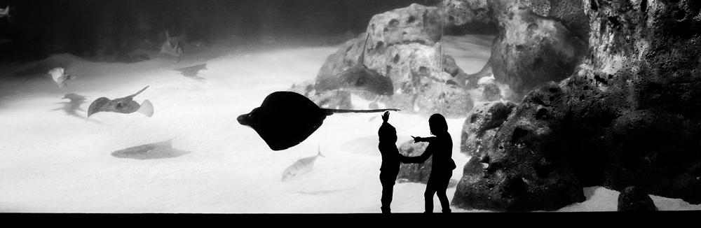 Julo Kotus: Čiernobiela fotografia medzi dokumentom a poéziou