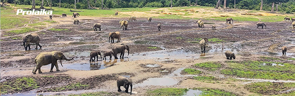 Fotoexpedícia: Angola, Republika Kongo, Stredoafrická republika, Kamerun + Rovníková Guinea