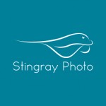Stingray Photo