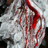 tepajúce teplo v ľadovom objatí